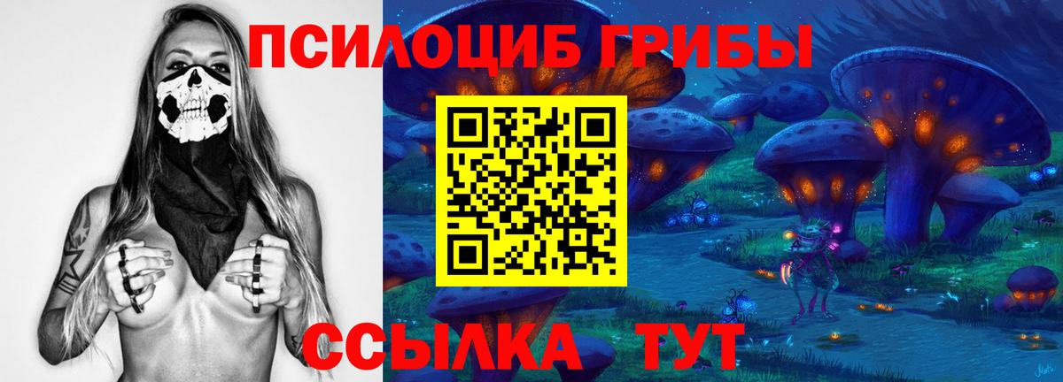 Галлюциногенные грибы Psilocybe Корсаков
